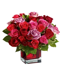 Composizione di rose rosse e rosa