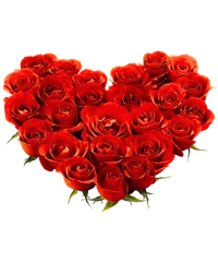 Cuore di rose rosse
