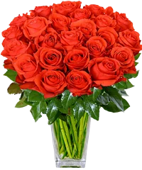 Mazzo di rose rosse